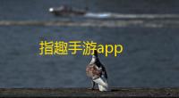 指趣手游app